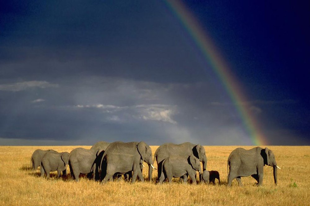 Kenya